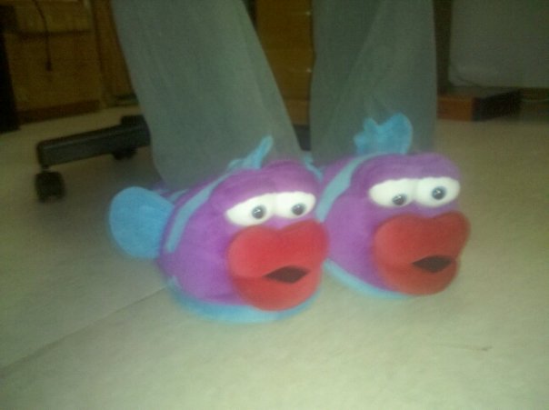 a blurry photo of feet in large fish-shaped slippers
