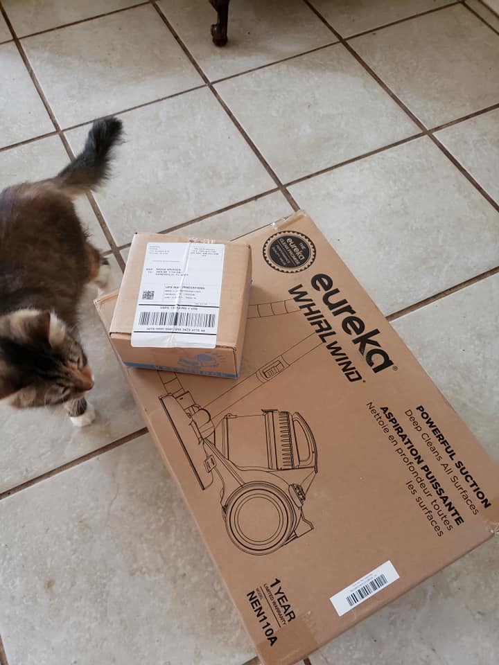 a cat investigates a box with a label for a eureka vacuum cleaner