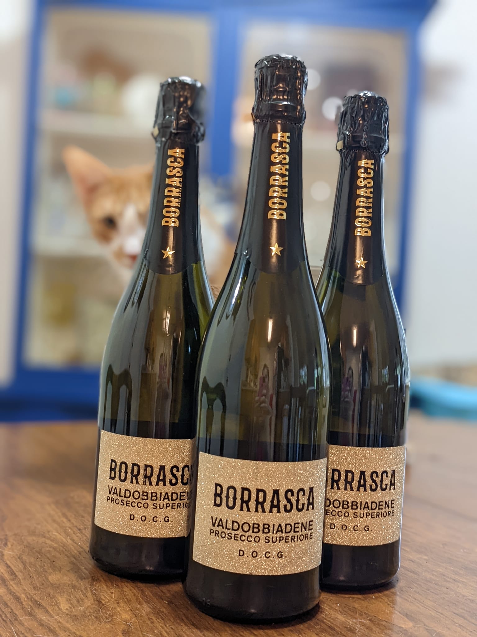 three bottles of Borrasca brand prosecco with glittery gold labels and a blurry cat face looking on behind them
