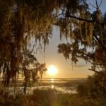 colorful view of a sunset over water framed by trees with spanish moss