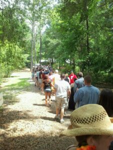 a long line of people leading through a park