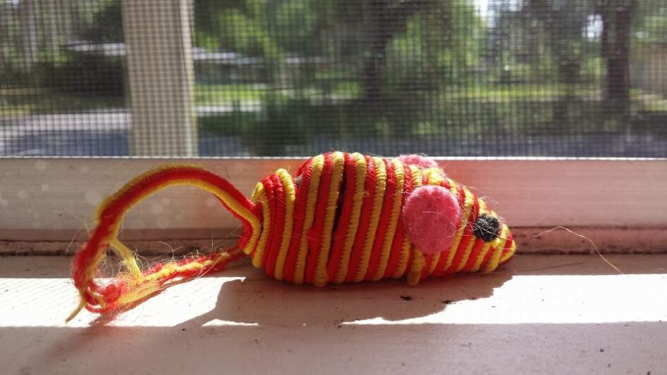 a small mouse cat toy sits on a sunny windowsill