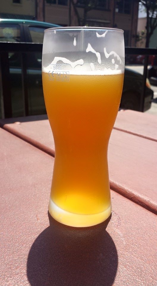 a very tall glass of beer is backlit by bright sunlight