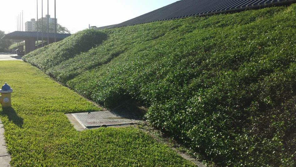 a very regular angular slope with what looks like a metal roof at the top