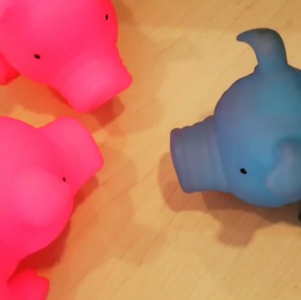 what looks like three plastic pigs face each other on a desktop