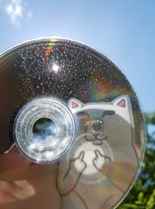 a CD is held up tot he sun to let light shine through the freckled spots in the metallic inner layer and a phone case is reflected that is a cat flipping off the viewer