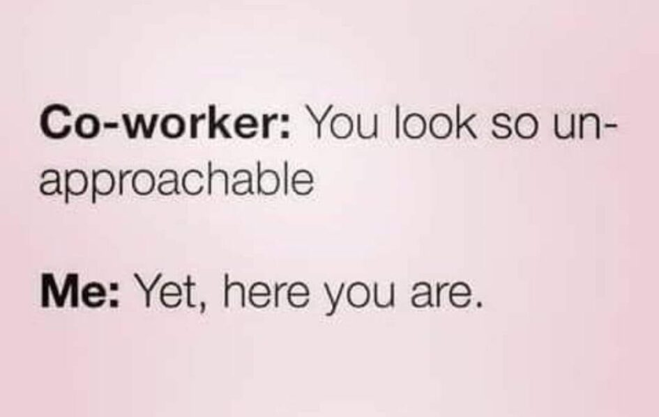a meme about having resting bitch face