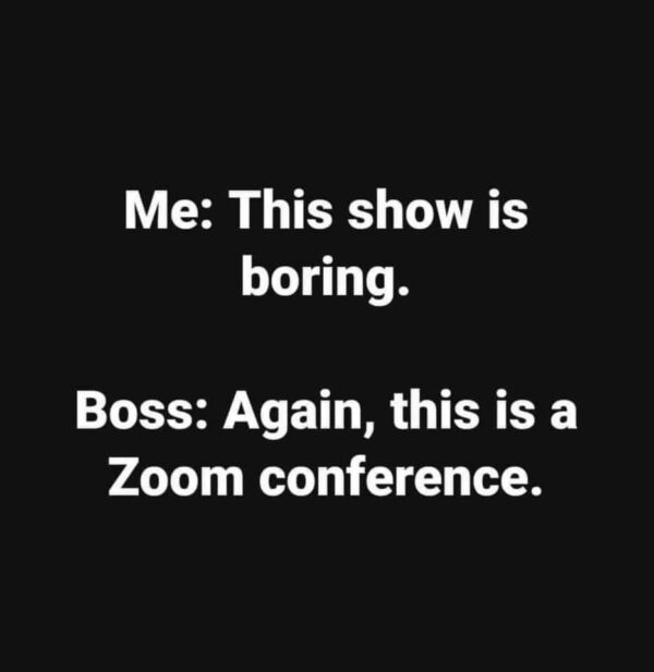 meme that says: me: this show is boring. Boss: again, this is a zoom conference