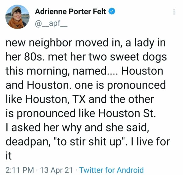 a tweet about a woman naming her dogs both Houston after the city and the street just to cause chaos