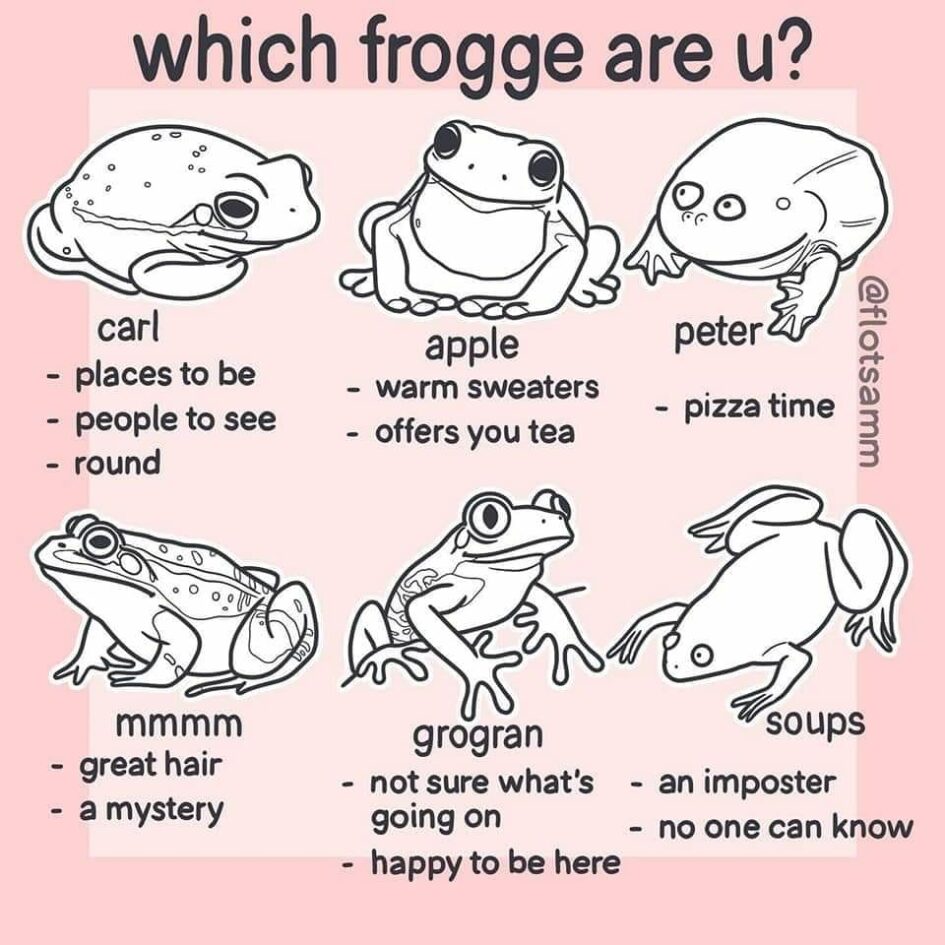 a meme asking which frog are you and showing six frogs with names and qualities from peter who eats pizza to soups who is an imposter