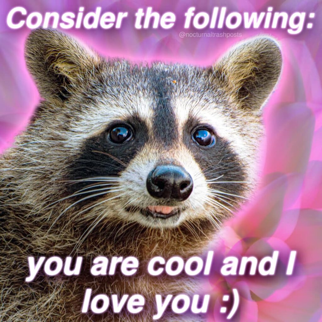 a raccoon meme saying everyone reading it is cool