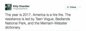 a tweet that says, The year is 2017. America is a tire fire. The resistance is led by Teen Vogue, Badlands National Park and the Merriam-Webster dictionary