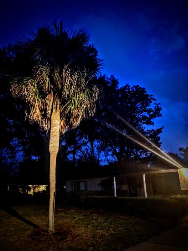 a light is illuminating a palm tree in a homes front yard with a deeply blue night sky above the dark scene