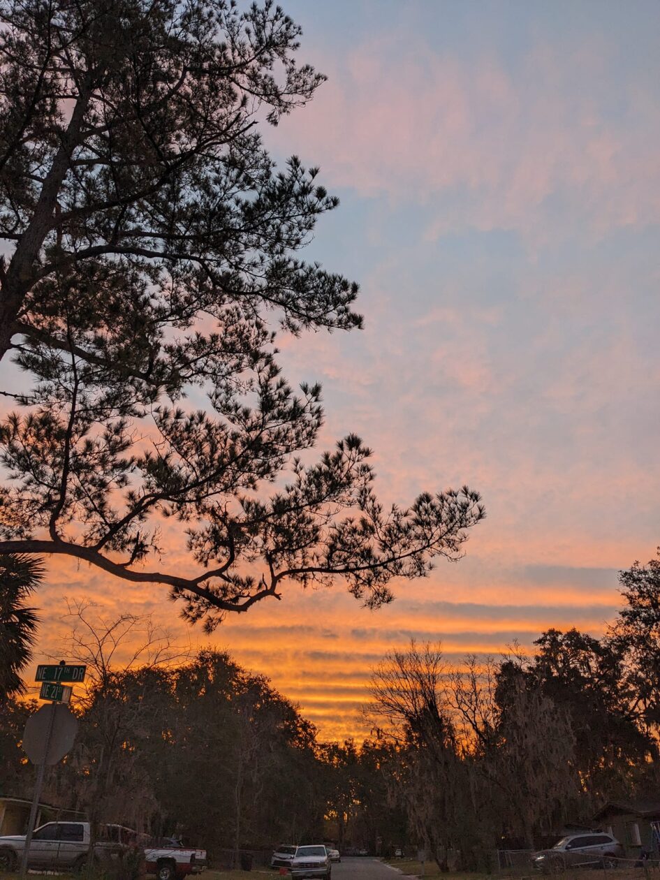 a sunrise with rippling clouds on the horizon and a tall pine tree to the side