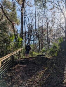 a person is way up a hill near a fence looing into woods