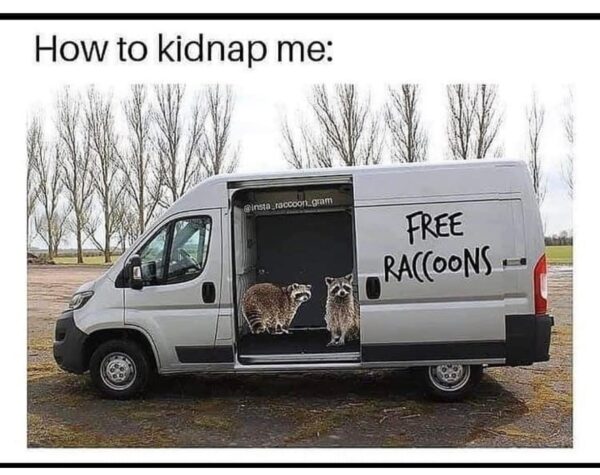 a meme that says How to kidnap me, and a van with raccoons in the open doorway