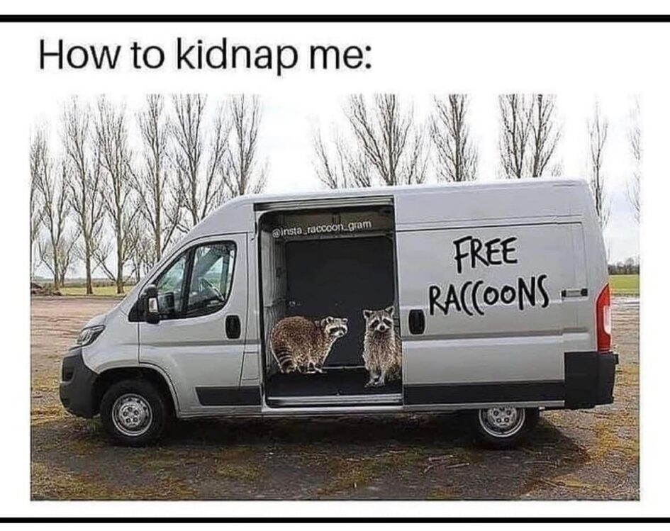 a meme that says How to kidnap me, and a van with raccoons in the open doorway