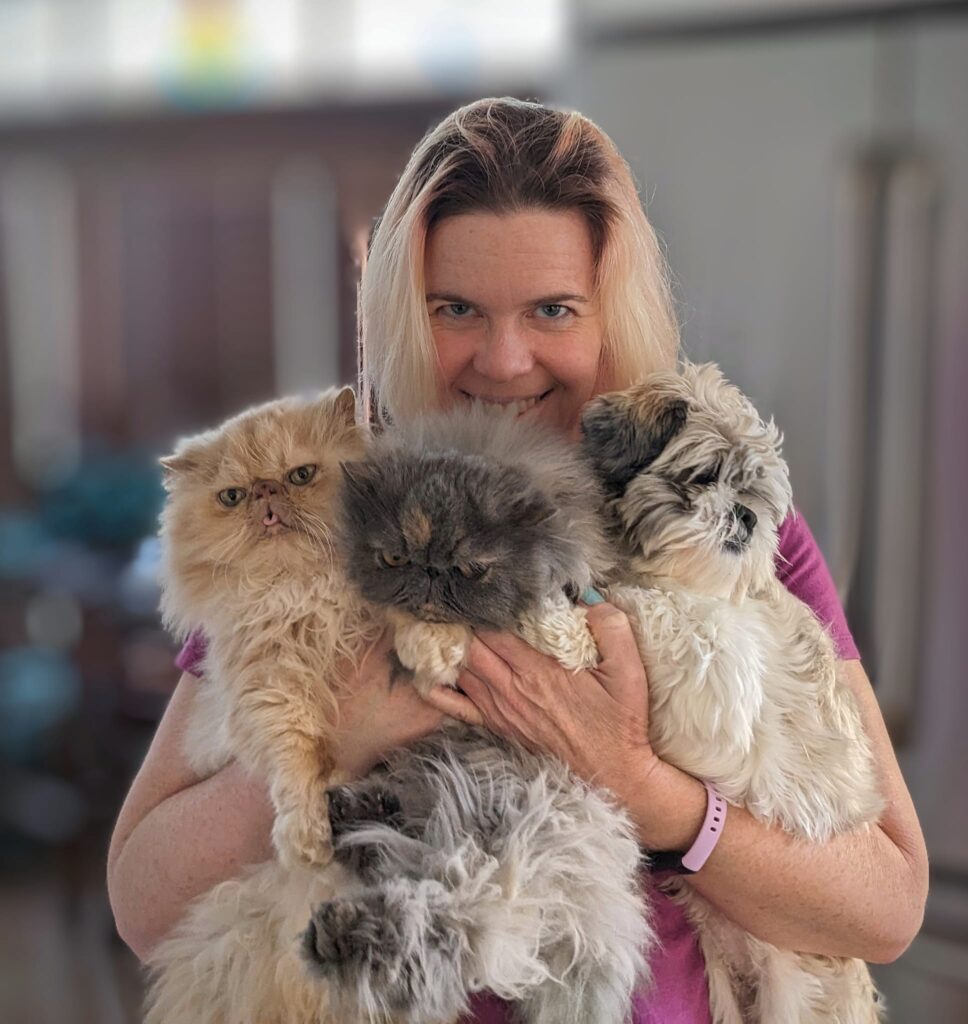 a person holds up two very fluffy cats and a fluffy dog