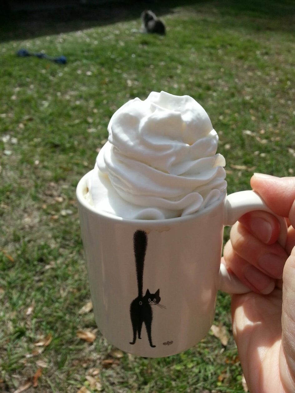 a coffee mug with a mound of whipped cream is printed with a black cat facing its but hole at the viewer