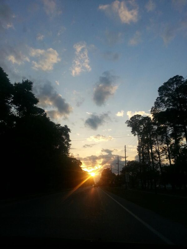 a sunset on a road is bright between the dark tree line
