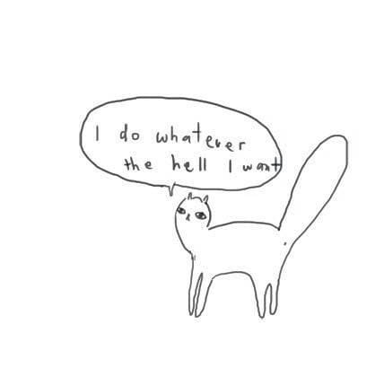 a drawing of a cat saying I do whatever the hell I want