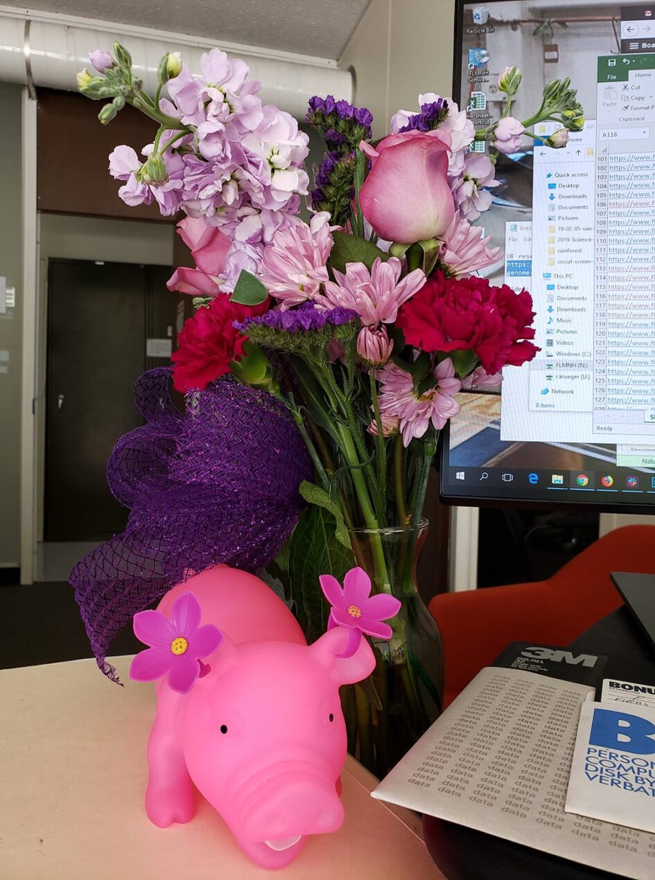 a large bouquet of pink flowers is sitting on a desk next to a large toy pig