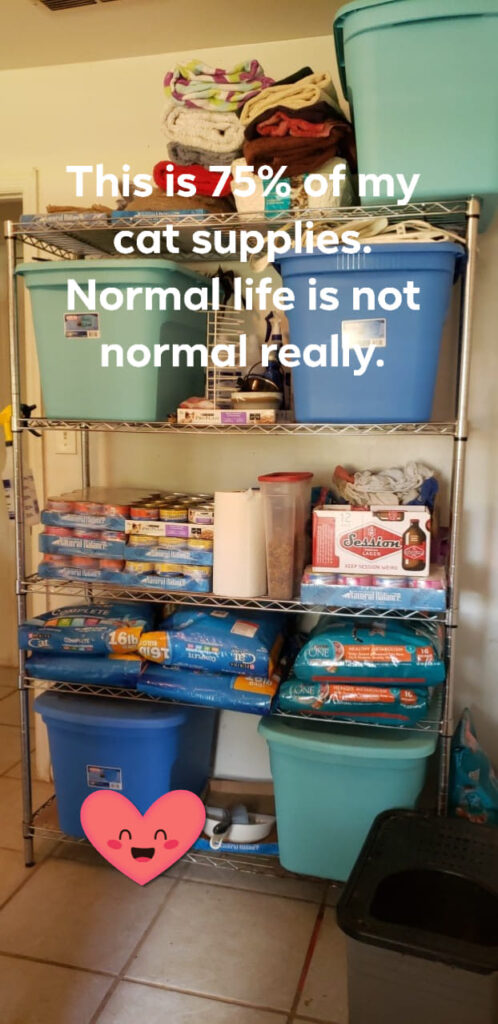 a metal shelfing unit has tubs and bags of cat food and towels carefully stacked on it