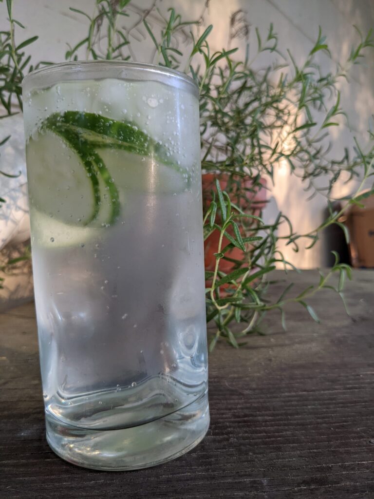 a tall glass with clear liquid and cucumber slices on a table in front of a plant