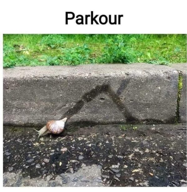a snail has left a curved trail up the side of a curb and above that is the word parkour