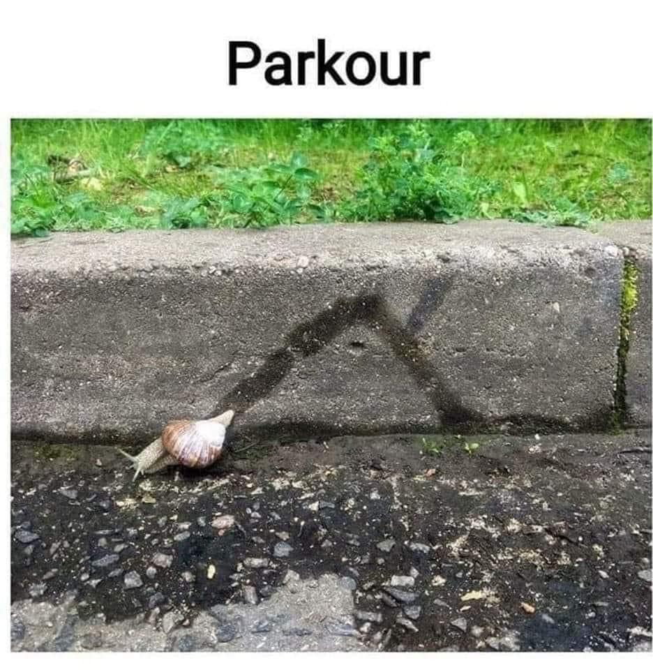 a snail has left a curved trail up the side of a curb and above that is the word parkour