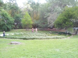 a concentric growth of short shrubbery on a lawn looks like it could be a garden maze