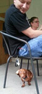 a person sitting on a porch looking at the small dog under their chair
