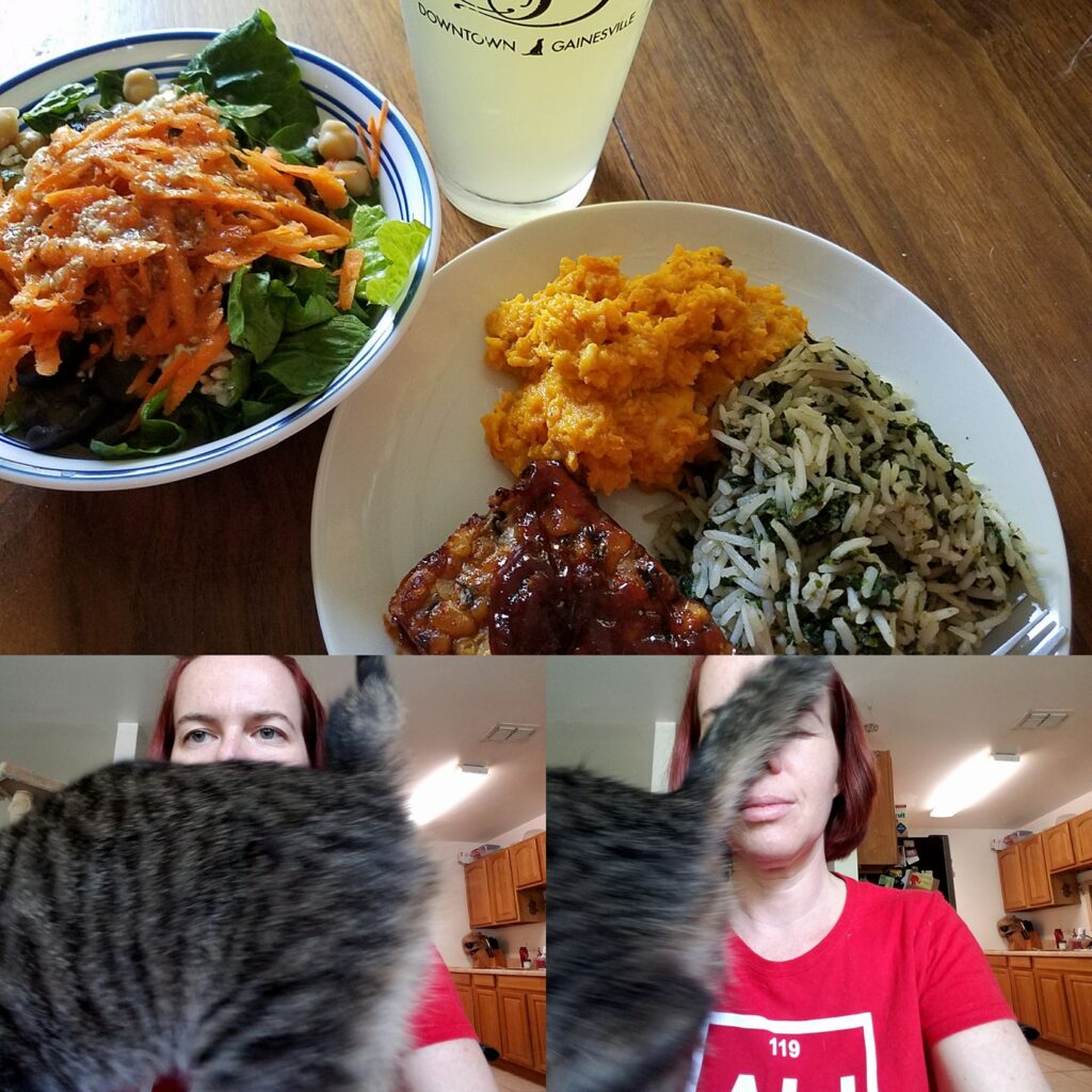 collage of a picture of food bowls above and two selfies of a cat walking past a person's face