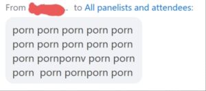a screenshot from a Zoom chat with just the word 'porn' repeated several dozen times