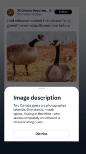 screen shot of a tweet with the image description revealed to show how detailed to write alt text
