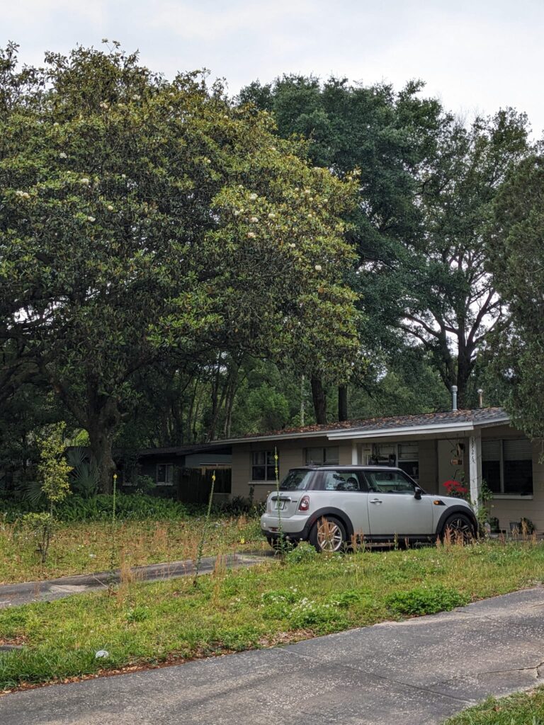 a car is in a driveway in front of a low house with an overgrown lawn and a big tree
