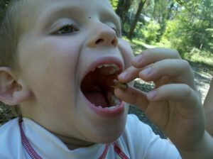 a child is pretending to eat a bug