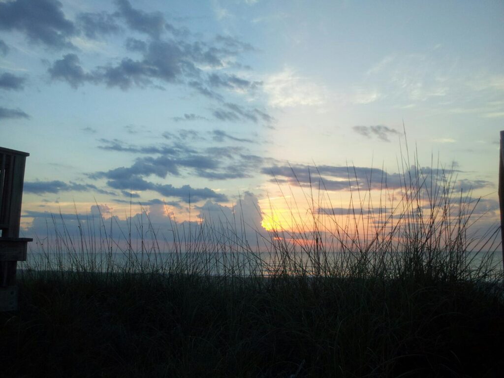 a sunrise on the ocean behind long grasses