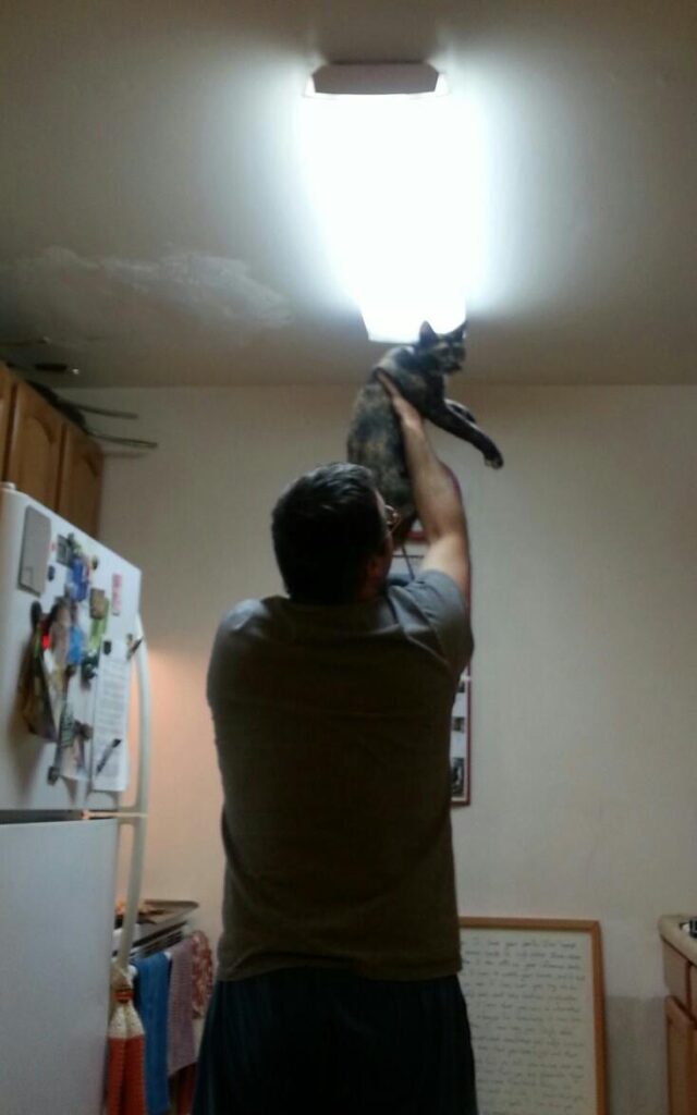 a person is holding a cat up to a ceiling light in a small kitchen