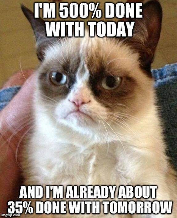 meme of grumpy cat saying I'm 500 percent done with today