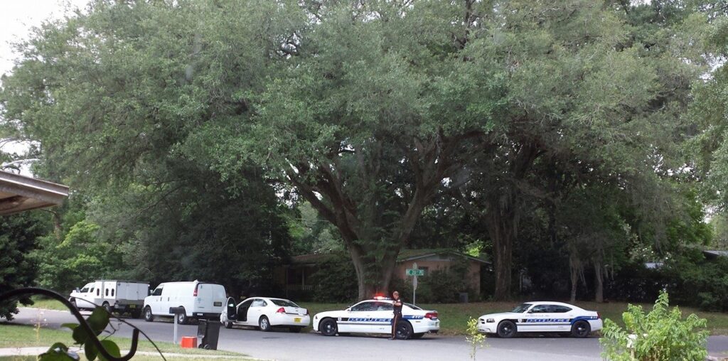 several police cars and city vehicles are parked in front of a house under a huge tree