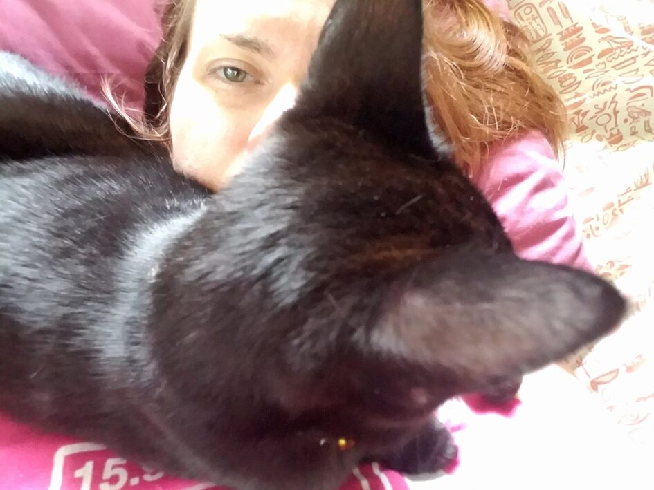 selfie of a person but with a cat sitting mostly in her face