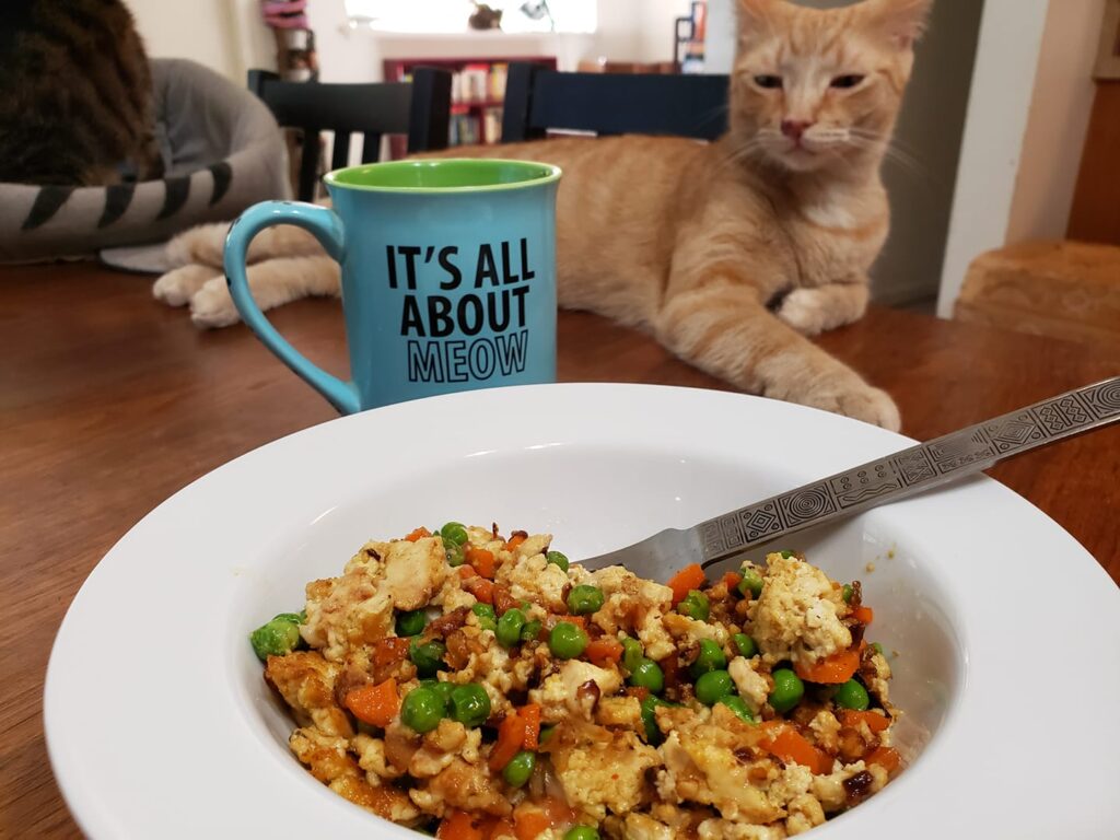 in the foreground is a bowl of some kind of egg scramble and in the distance is a cat sitting casually yet focused on the food