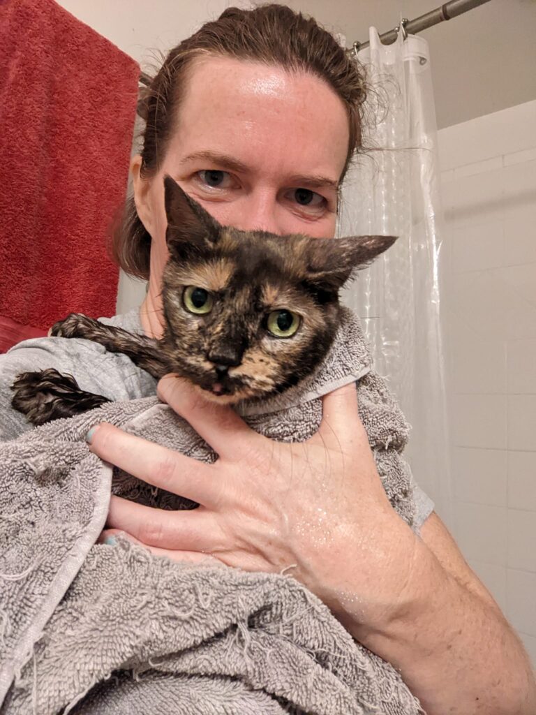 a person is holding a cat wrapped in a towel