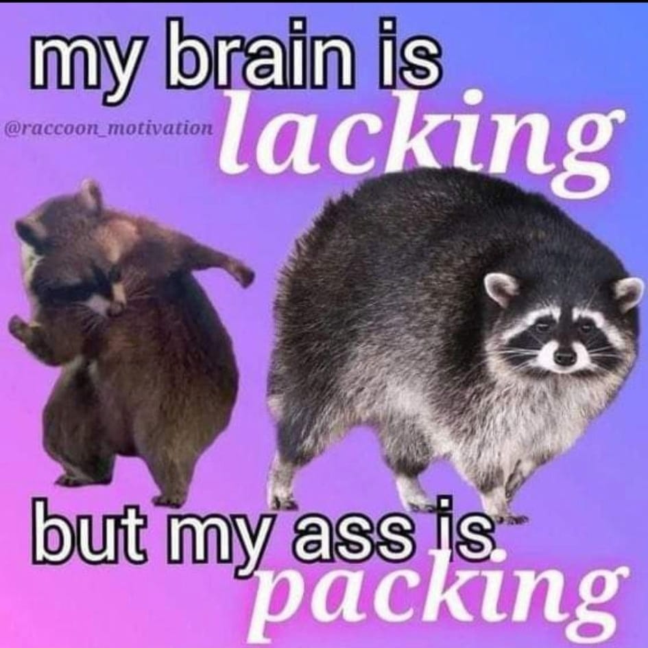 a meme of a raccoon picture with text saying My brain is lacking but my ass is packing