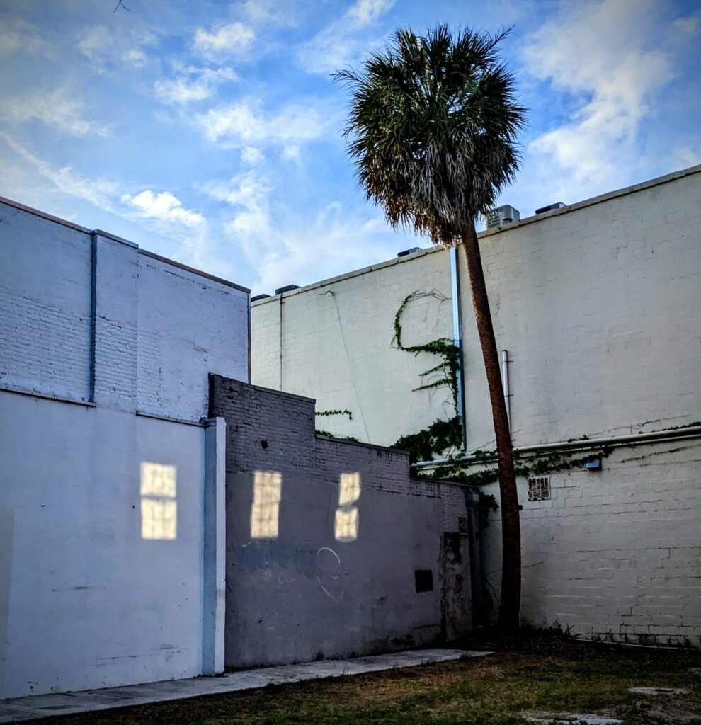 a small empty lot has a palm tree and three windows are reflecting sunlight onto a distant wall giving it the illusion of having windows itself