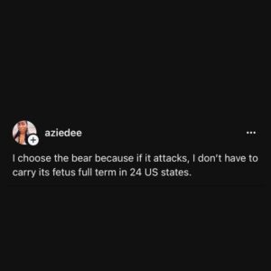 a tweet that says I choose the bear because if it attacks i don't have to carry the fetus to term in 24 states