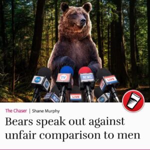 meme of a bear in front of microphones and the text Bears speak out against comparison to men