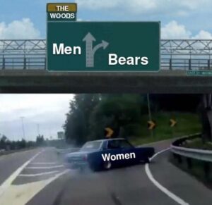 a classic meme of a car veering off the road with a sign overhead pointing straight for men and pointing to the side for bears