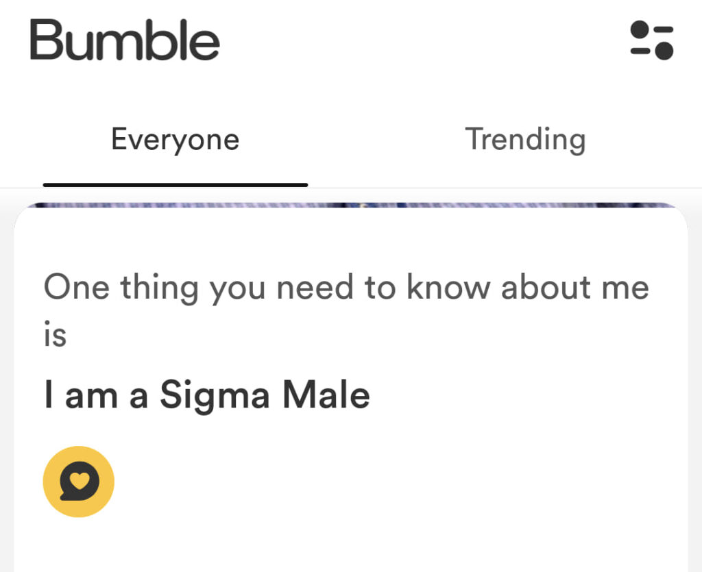 screenshot of a bumble dating profile with a man saying he is a sigma male